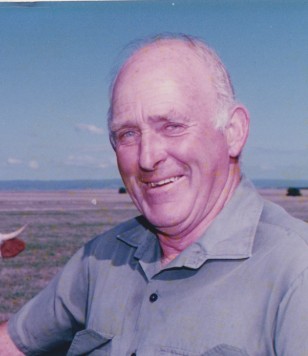 Зображення в голову СМІТА, Грема Елліса