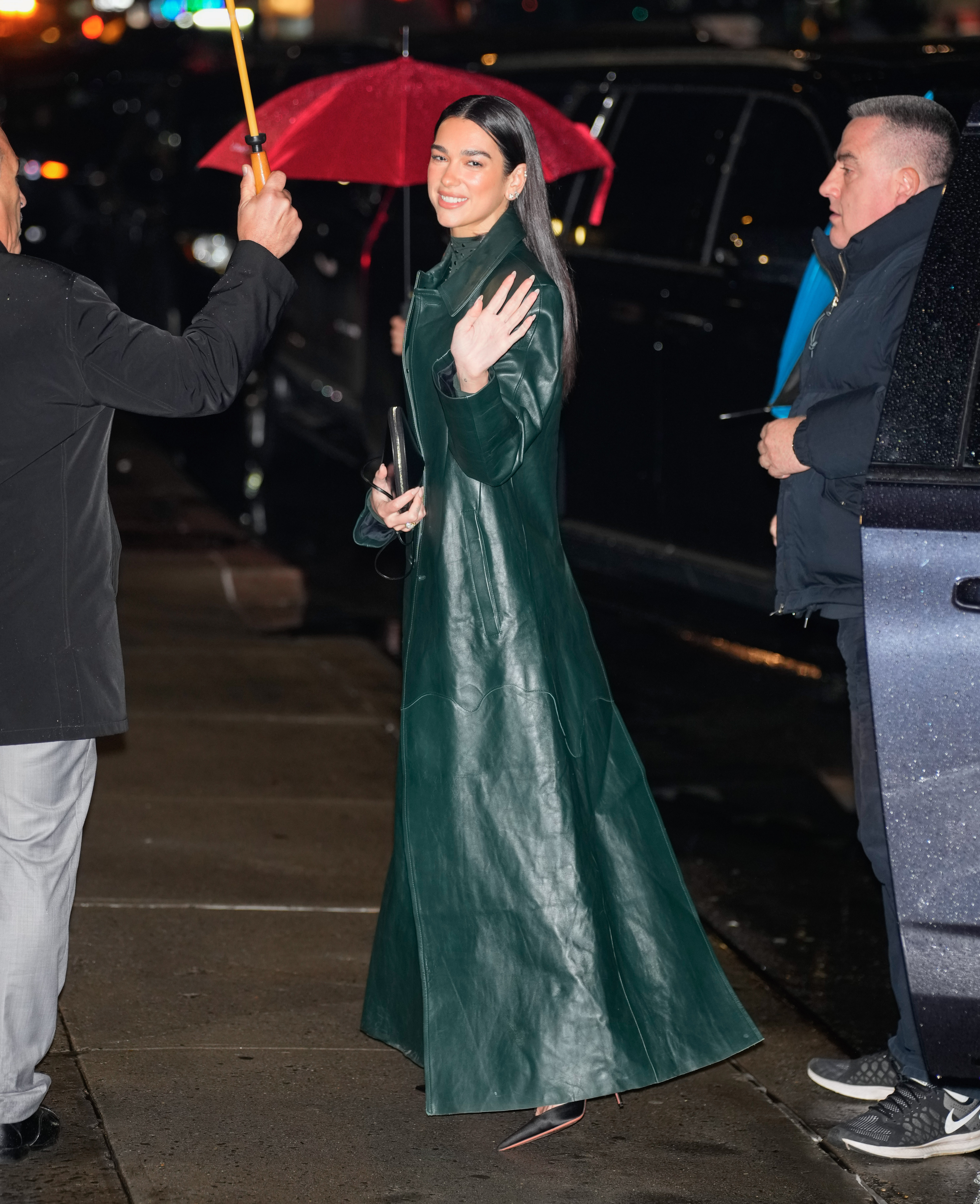 Пальто - дві ліпи