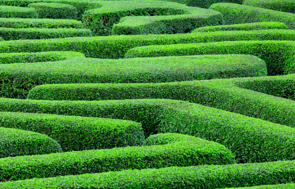 Безкоштовний Labyrinth Cloudflare відволікає гусениць, які могли б вкрасти вміст веб -сайту
