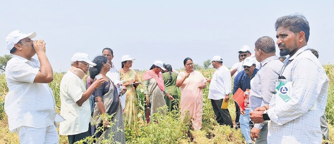 Експерти з питань сільського господарства аналізують здоров'я ґрунту в Андхра -Прадеші
