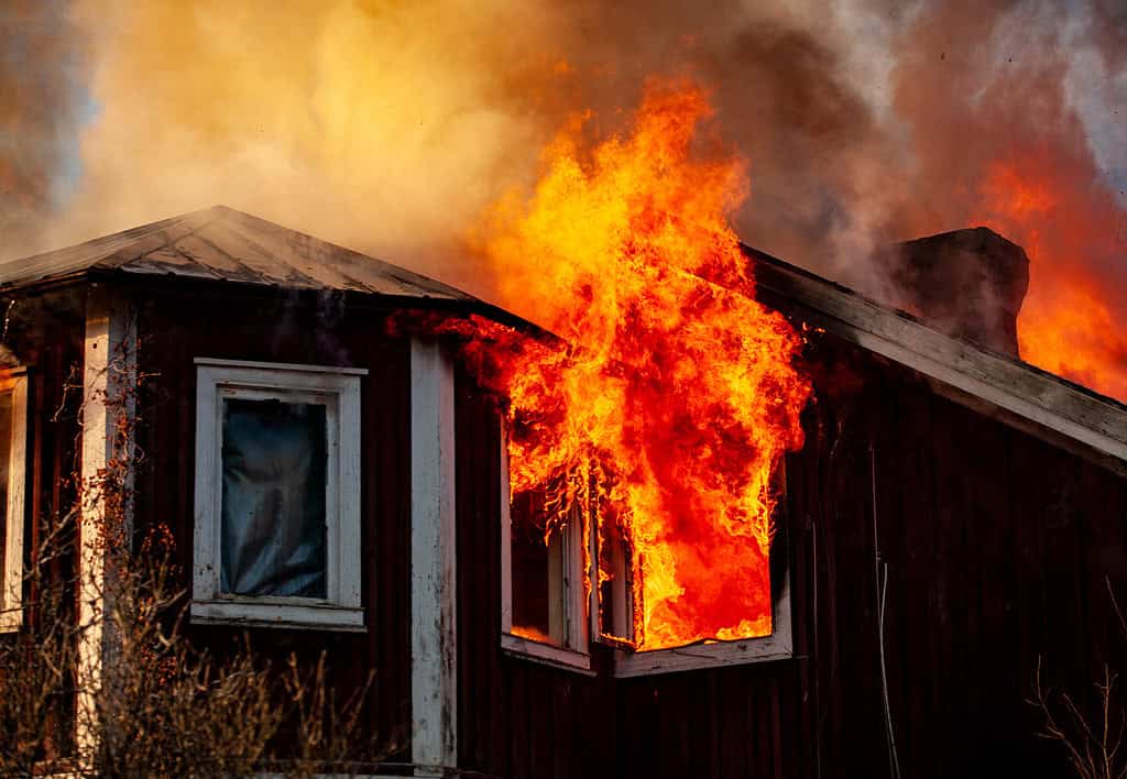 Каліфорнійський дикий пожежі Параметричне-Полічне прийняття

