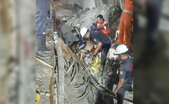 Telangana Tunnel Compapse: Роботи Приєднуються до пошуку операції