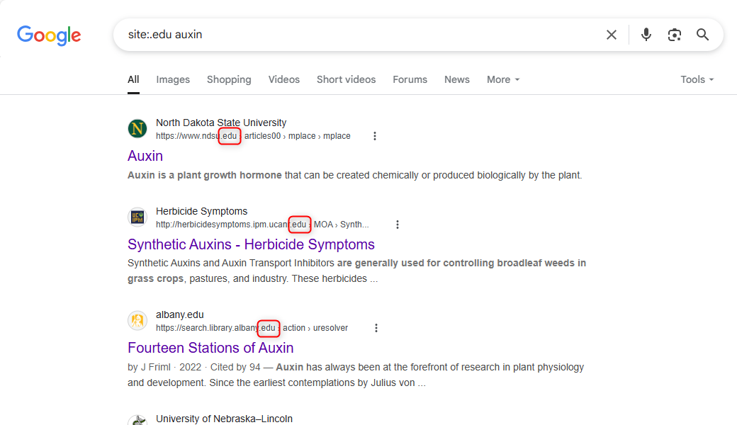 Результат пошуку Google для запиту, що стосується розширення домену.