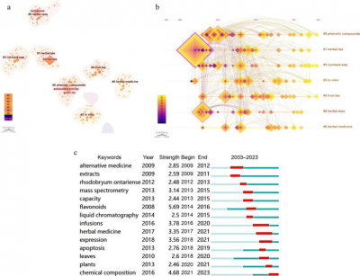 Глобальні тенденції в дослідженні трав'яних чайників розкривають антиоксидантну фокус та нову співпрацю

