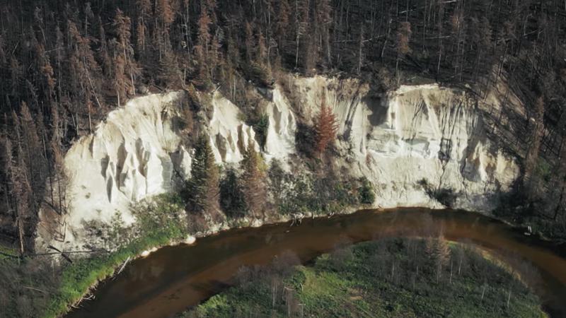 Знищення лісовими пожежами може прискорити ерозію стародавнього земного формування
