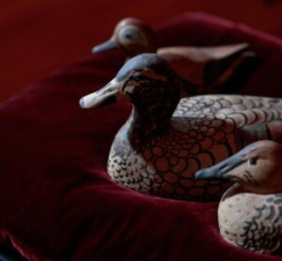 Creatures of the Archive: Tails from the Archive
