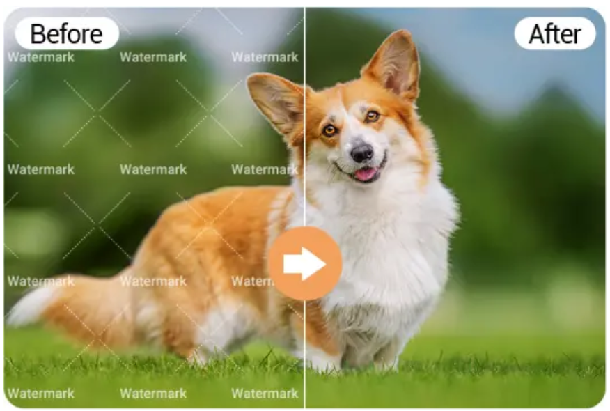 Перетворюйте свій вміст за допомогою потужних інструментів для видалення водяних знаків Video та інструментів AI Design Room Design
